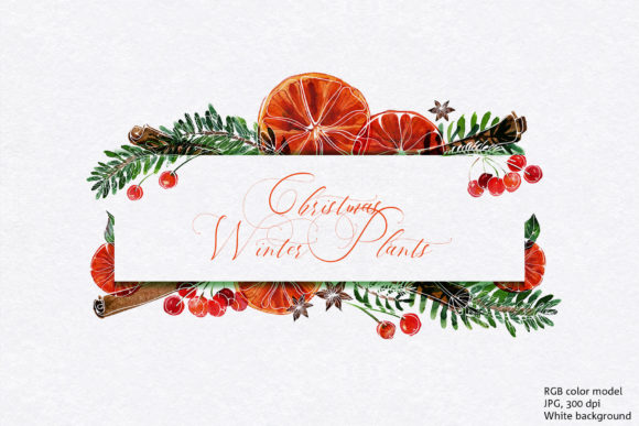 Christmas Winter Plants Embroidery Design Review