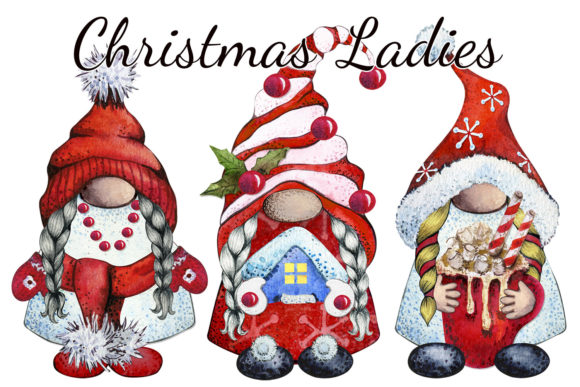 Merry Christmas Gnome Illustration Review